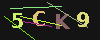 Gambar captcha